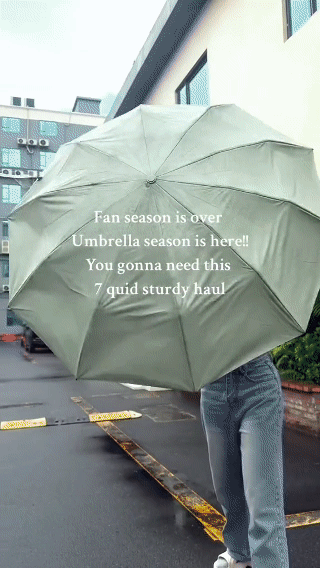 AutoHook All-Weather Foldable Umbrella
